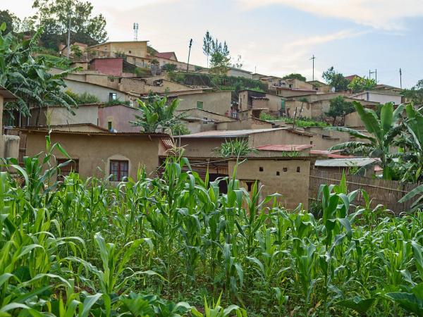 Reportage au Rwanda